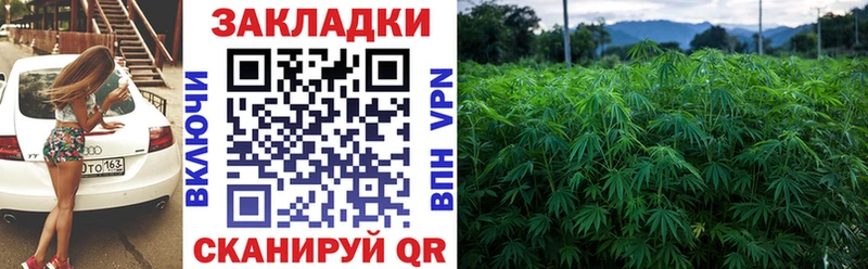 Псилоцибиновые грибы Ливны
