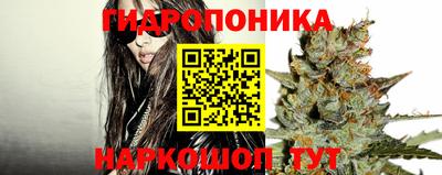 прущий лед Гусев
