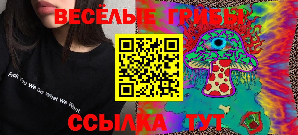 Ливны  Псилоцибиновые грибы GOLDEN TEACHER  Галлюциногенные грибы GOLDEN TEACHER  Вход с VPN 